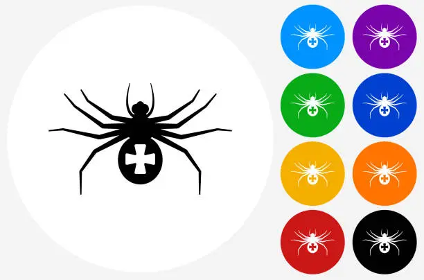 Vector illustration of Spider Icon on Flat Color Circle Buttons