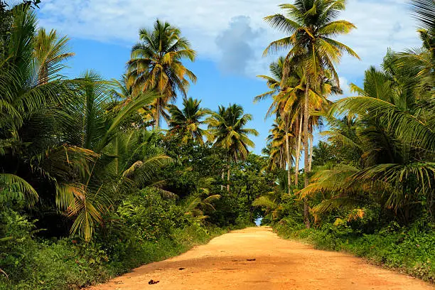 Playa Rincon in Dominican republic