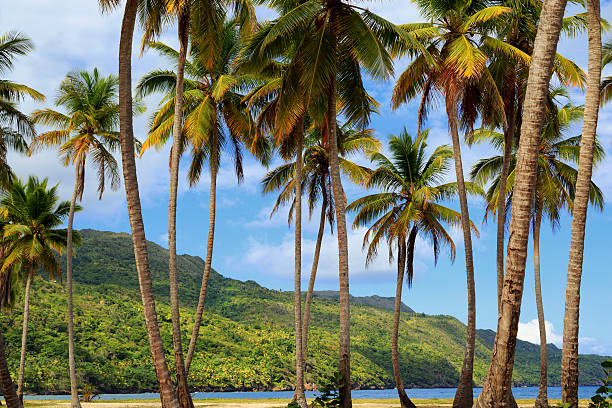 Playa Rincon in Dominican republic