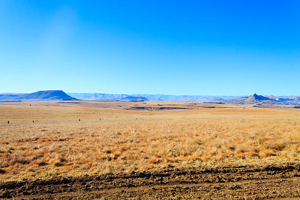 istock Orange Free State panorama, South Africa 628013130