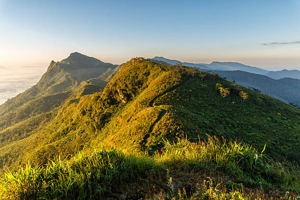 istock Doi pha tang Chiang mai top view in thailand 628014114
