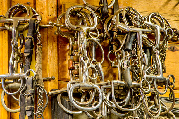 Stacks of horse bits on the wall of a tack room.