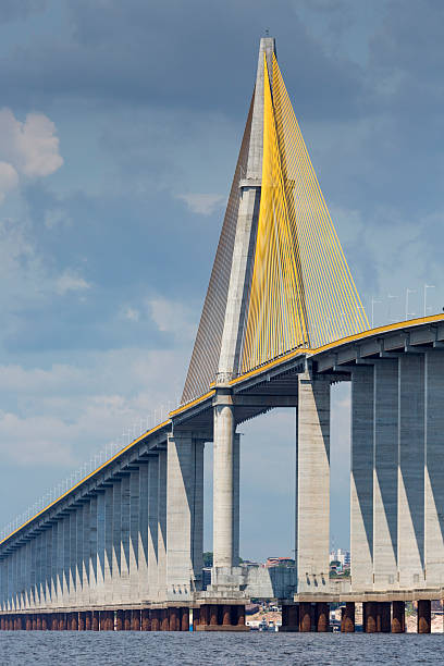 The Manaus Iranduba Bridge (called Ponte Rio Negro in Brazil)