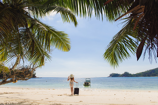 Young woman with hat and suitcase on the beach. Transparent clothes, bathing suit. Palm fronds framed photo.