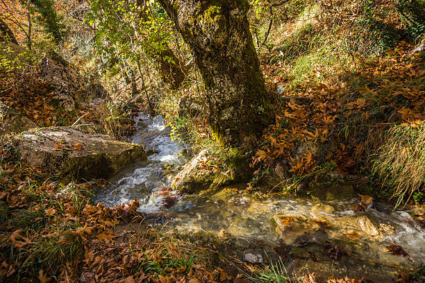istock Scenic mountain autumn landscape with river and   watergfalls, P 628015682
