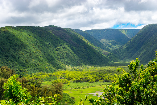 Beautiful lush mountains in the Polulu Valley on the north shore of Big Island - Hawaii