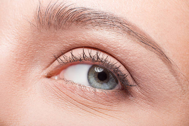 istock Closeup of model woman's eyes 628016334