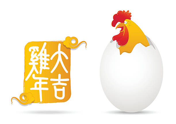 새해 복 많은 중국 새해. 수탉의 해. 깨진 닭 계란 껍질. - animal egg chicken new cracked stock illustrations