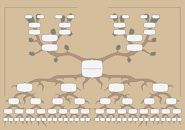The family tree The genealogical tree, vector chart pics of family tree chart stock illustrations