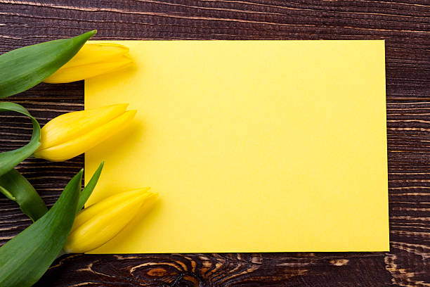 istock Yellow tulips near blank paper. 628023988