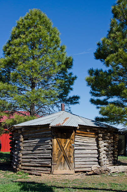 istock Traditional Navajo Hogan 628024516