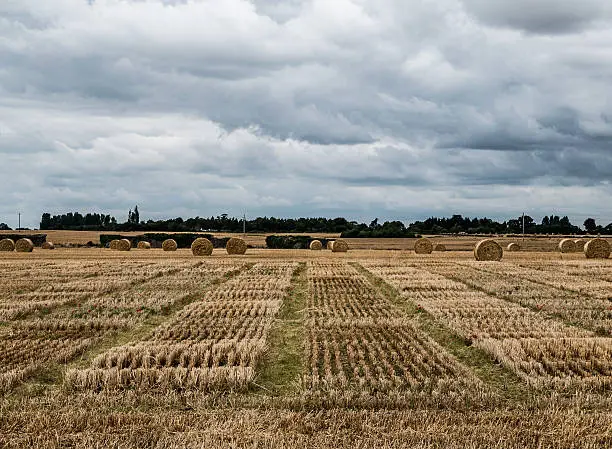 Numerous bales await collection from a recently mown field in County Carlow, Republic of Ireland.