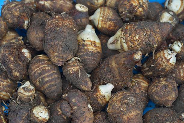 istock Close up of Satoimo (Japanese Taro) 628026016