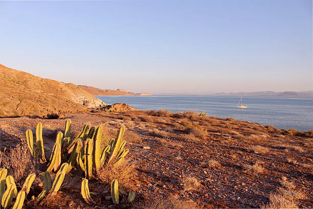 vor sonnenuntergang auf der isla san marcos. - l isla stock-fotos und bilder