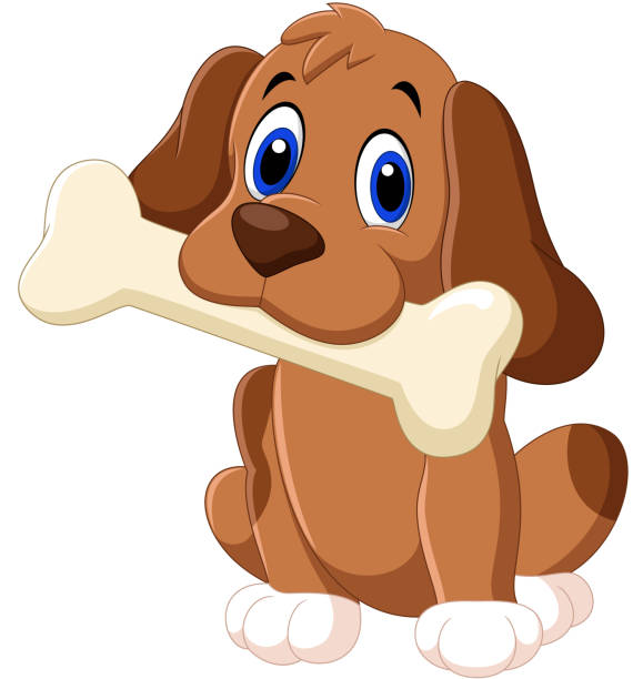 Cartoon funny dog with bone Illustration of Cartoon funny dog with bone animal bone stock illustrations