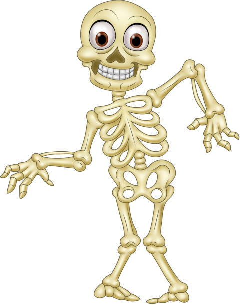 Halloween Skeleton Stock Illustration - Download Image Now - Human Skeleton,  Cartoon, Cheerful - iStock
