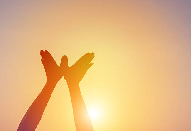 istock hand shaped bird fly on the sun sky morning 628032906