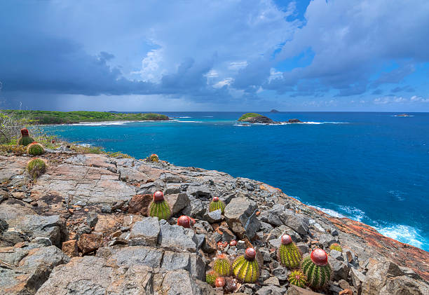 Rocky point on Caribbean island Melon cactus growing on rocky bluff of Punta de Molinos on Isla Culebra overlooking deep blue Caribbean Sea and small islands under stormy sky culebra island photos stock pictures, royalty-free photos & images