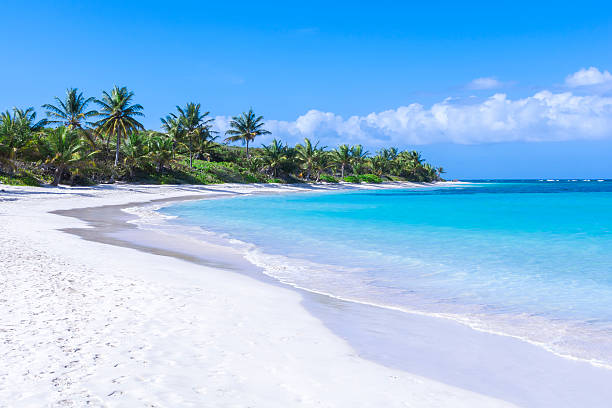 Beautiful white sand Caribbean beach White sandy beach with turquoise blue Caribbean water and coconut palms on beautiful Flamenco Beach on Isla Culebra on clear sunny day culebra island photos stock pictures, royalty-free photos & images