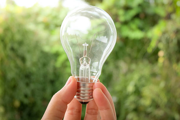 istock Lamp in green energy concept. 628034782