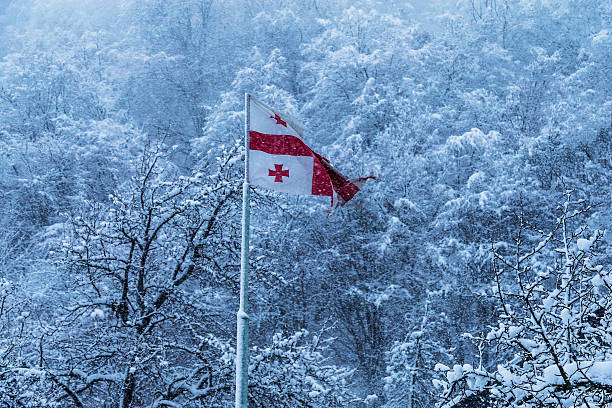 istock Winter is here in Georgia 628035940
