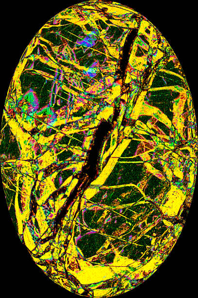istock Colorful, abstract egg from polarizing micrograph of a mineral. 628064826