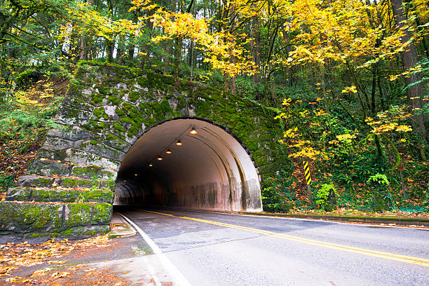 istock Tunnel through the rock covered with moss and autumn trees 628065312