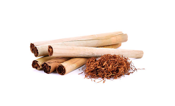 istock Tobacco pile and cigarette on white background 628067138