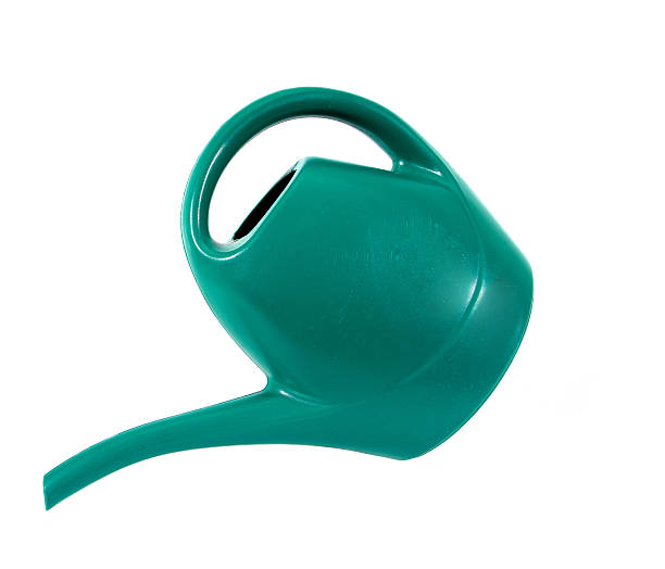 istock Green plastic watering can isolated on white background. 628075396