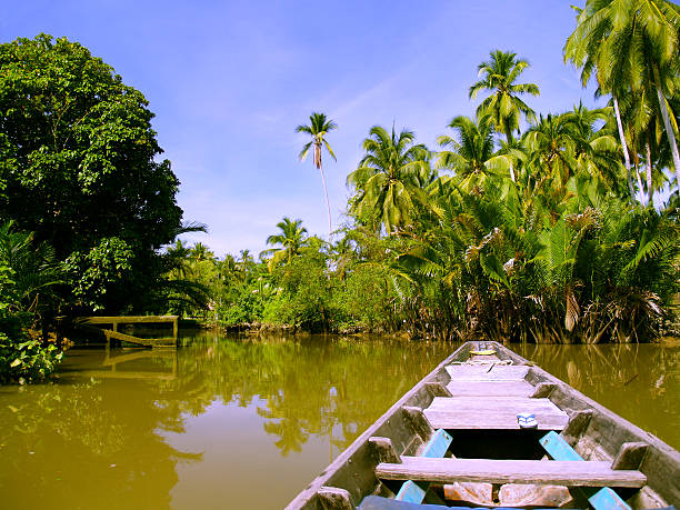 istock Sailing on Indigenous wooden canoe 628075910