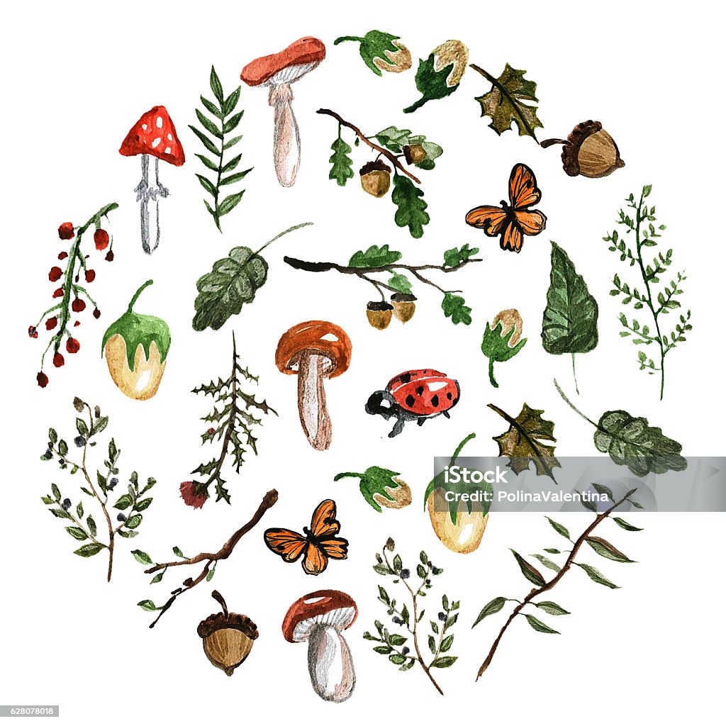 Forest plants, trees, leaves, mushrooms Mushroom Stock Photo