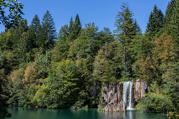 istock Plitvice Lakes National Park - Croatia 628084418