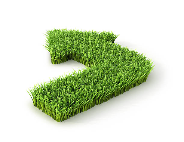 istock Green grass ecological arrow icon on over white background. 628085142