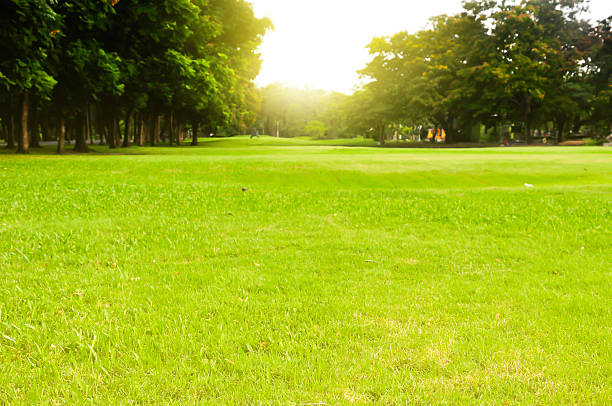 istock Chatuchak public park in Thailand 628085214