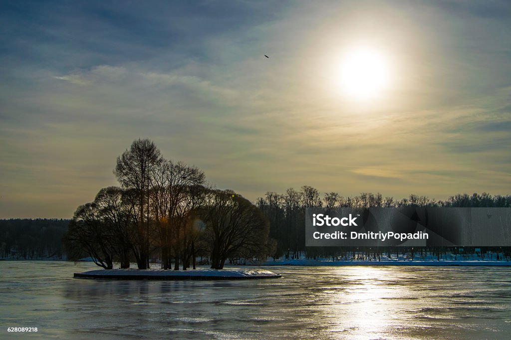 Foto de Bom Dia Ensolarado De Inverno No Parque Em Um Lago e mais fotos de stock de Cloudscape - Cloudscape, Dia, Estacionamento - iStock Foto de Bom Dia Ensolarado De Inverno No Parque Em Um Lago e mais fotos de stock de Cloudscape - Cloudscape, Dia, Estacionamento - iStock