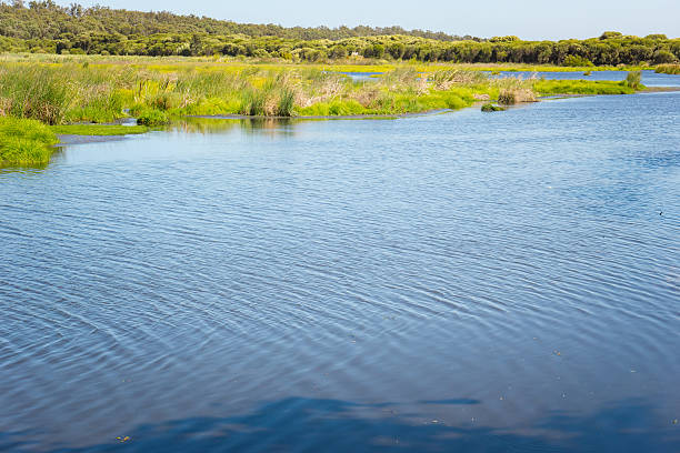 istock Lake in a Yanchep National Park 628089874