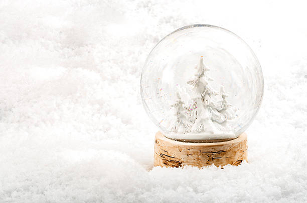 Free Stock Photo of Snow Globe Atop Plant | Download Free Images and ...