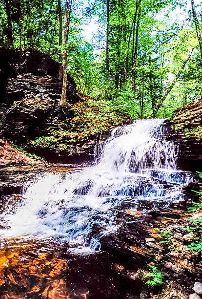 istock Ricketts Glen harbors Glens Natural Area 628100278