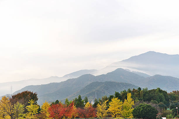 istock Scenery of Tanzawa 628101010
