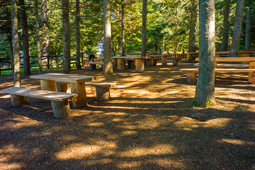 Picnic tables at Golcuk lake national park during autumn in bolu turkey