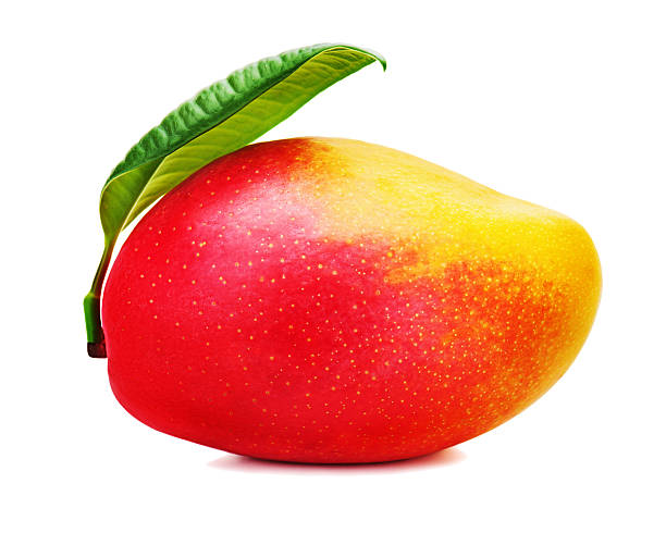 istock Fresh mango fruit with green leaves isolated on white background 628108890