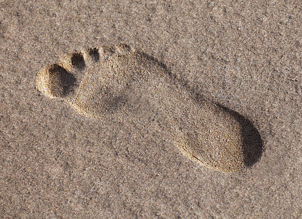 istock Footprint in the wet sand 628109266