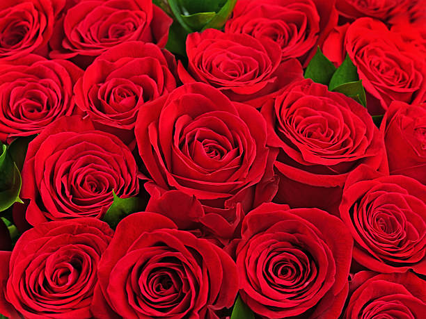 istock Colorful flower bouquet from red roses. 628110042