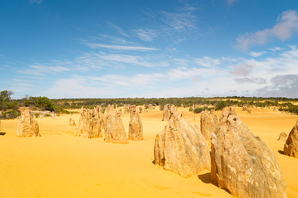 istock Pinnacles at Namburg National Park, Cervantes, Western Australia 628110062
