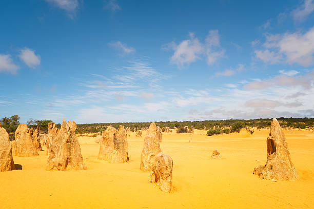 istock Pinnacles at Namburg National Park, Cervantes, Western Australia 628110148