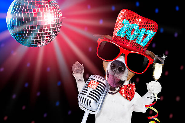 istock happy new year dog celberation 628111028
