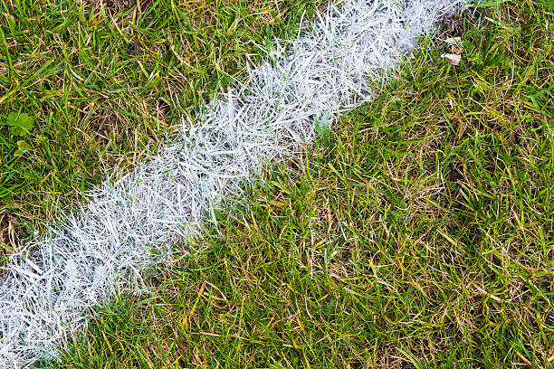 スポーツスタジアムの芝生の上の白い線 ストックフォト