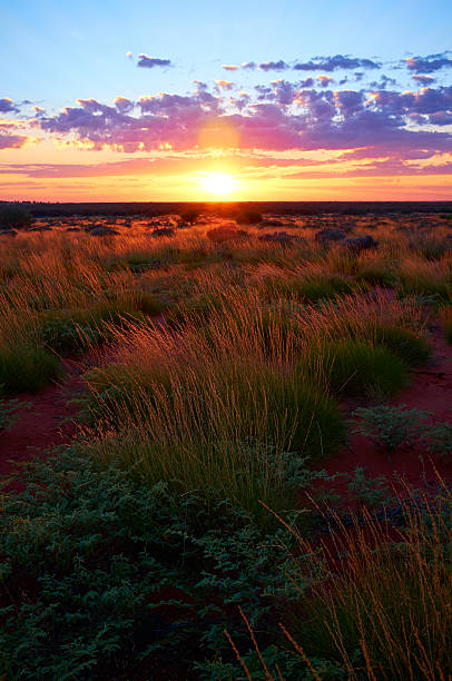 istock Dawn In The Australian Outback 628117234