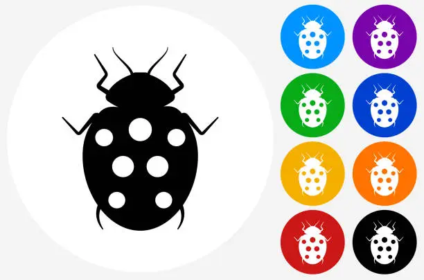 Vector illustration of Lady Bug Icon on Flat Color Circle Buttons