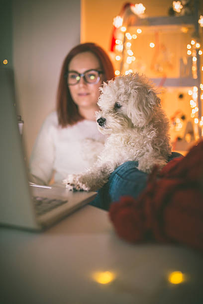 istock People, pets and love for animals. 628119804